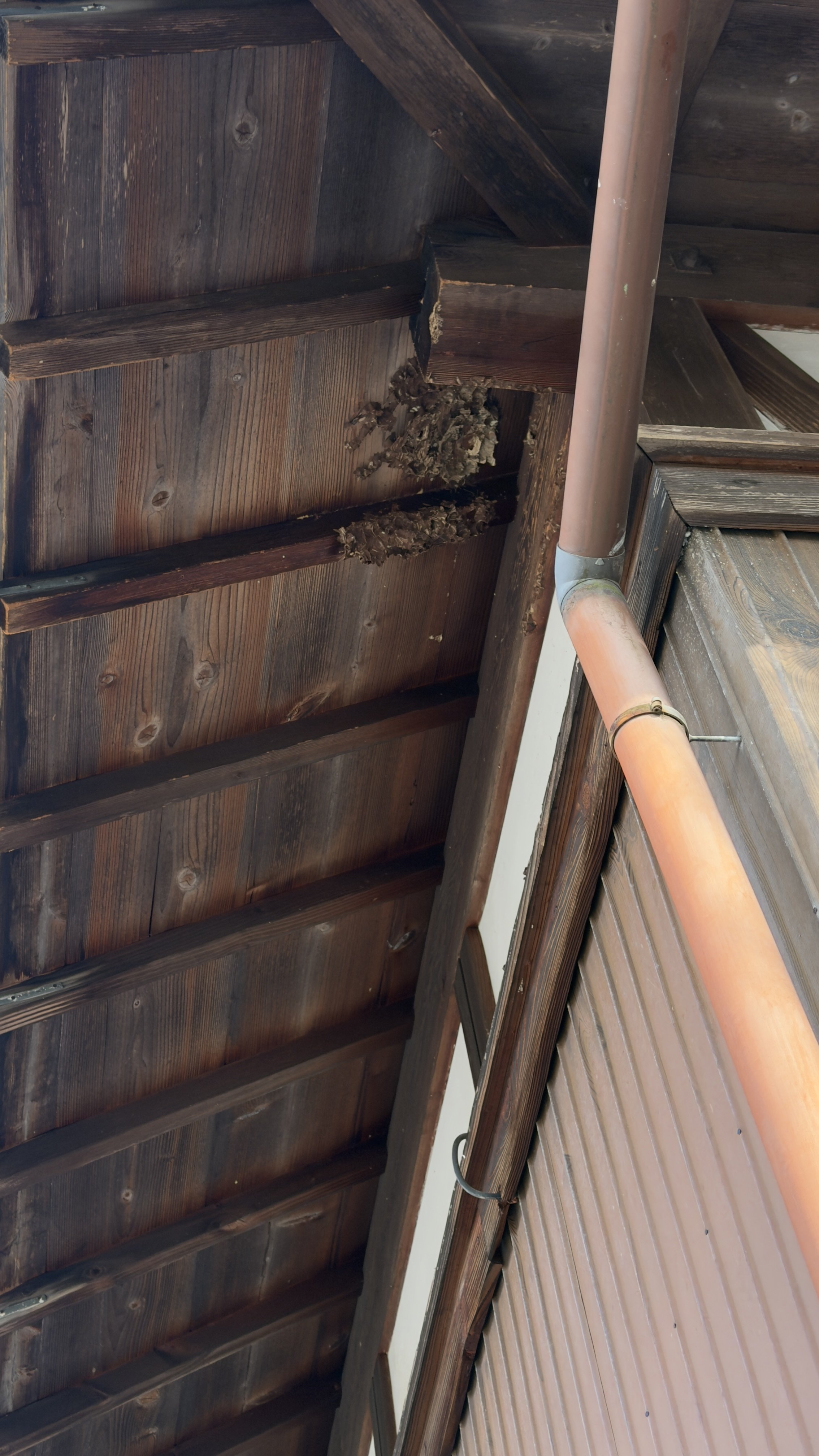 高所の撤去状況が分かる引き写真 2階軒下｜甲賀市｜ジェイ・ワークス