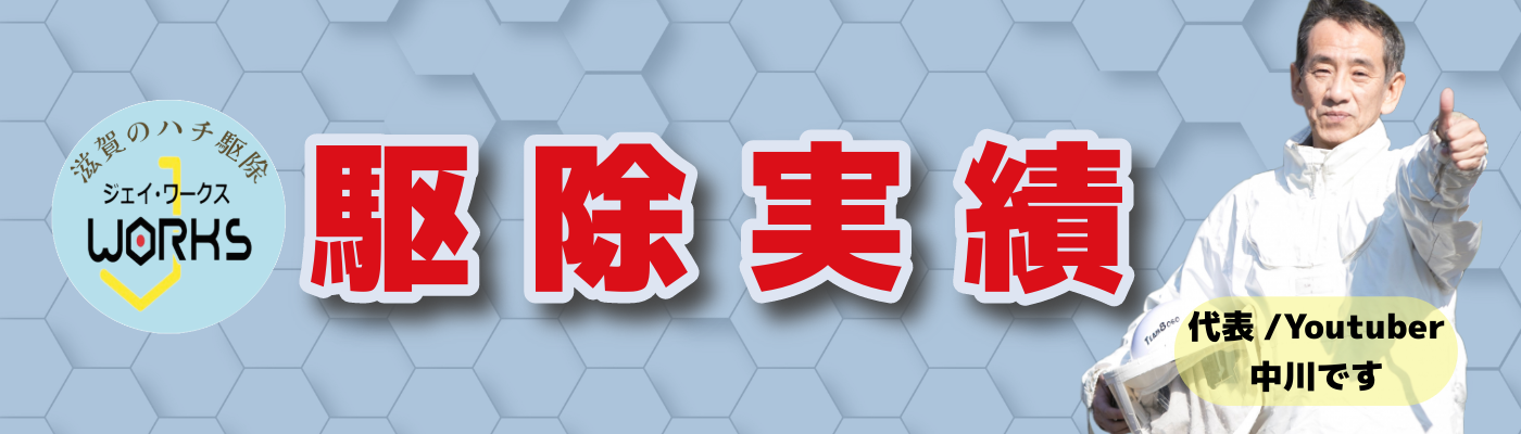 甲賀市のハチ駆除実績